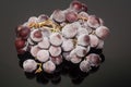Frozen grapes or Grapes in ice Isolation on the black background Royalty Free Stock Photo