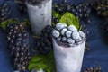 Frozen grapes with ice close-up Royalty Free Stock Photo