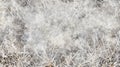 Frozen Grass Underneath a Layer of Ice Royalty Free Stock Photo