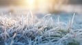 Frozen green grass, grass covered with frost in winter