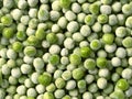 Frozen green peas Royalty Free Stock Photo