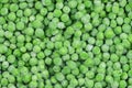 Frozen green peas texture background. ice peas background for food textures. Raw vegetables Royalty Free Stock Photo