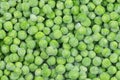 Frozen green peas texture background. ice peas background for food textures. Raw vegetables Royalty Free Stock Photo
