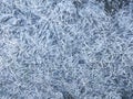 Frozen ground texture background. Background of the soil and snow. Royalty Free Stock Photo