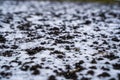 Frozen ground under snow. Textures abstract background Royalty Free Stock Photo