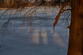 Frozen Herastrau lake at dusk in winter.