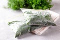 Frozen Herbs dill and parsley in a plastic bag. Concept of healthy eating Royalty Free Stock Photo