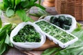 Frozen Herbs on a table