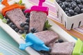 Frozen homemade blueberry yogurt popsicles