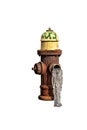 Frozen Hydrant Royalty Free Stock Photo