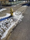 Frozen Hydrant Royalty Free Stock Photo