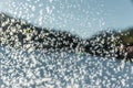 ice crystals on a window pane in the Rhodope Mountains in Bulgaria Royalty Free Stock Photo