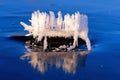 Frozen ice crystals on a ice in winter Royalty Free Stock Photo