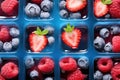 Frozen ice cubes with organic berries raspberry, strawberry, blueberry in ice cube tray Royalty Free Stock Photo