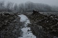 Frozen water in a lane after agricultural mechanism or vehicle on field during winter season, frozen naked trees in background.