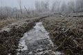 Frozen water in a lane after agricultural mechanism or vehicle on field during winter season, frozen naked trees in background.