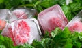 frozen in ice raspberries and green fresh mint leaves close-up Royalty Free Stock Photo