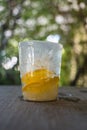 Frozen ice with slice orange fruit inside cup shape from the freezer refrigerator Royalty Free Stock Photo