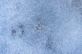 frozen ice texture. crystal water background. textured effect Royalty Free Stock Photo