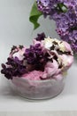 Frozen icecream in pink-purple color with chokolate stars and lilac flower.