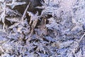 Frozen iced background. Ice pattern on the glass. Macro frost