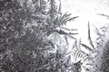 Frozen iced background. Ice pattern on the glass. Macro frost turn into negative black white photo