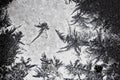 Frozen iced background. Ice pattern on the glass. Macro frost turn into negative black white photo