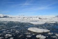 Frozen Icey Landscape with Floating Icebergs in Iceland