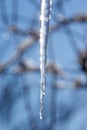Frozen icicle against the sky