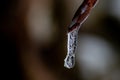 Frozen icicle with detailed structures