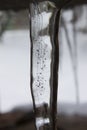 Frozen icicle