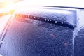 Frozen icicles after freezing rain on a car roof, selective focus, blurred green background Royalty Free Stock Photo