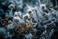 Frozen icy dry wild flowers. Generate ai Royalty Free Stock Photo