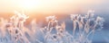 Frozen icy flowers in a cold winter in the morning light, generated by ai Royalty Free Stock Photo