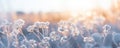 Frozen icy flowers in a cold winter in the morning light, generated by ai Royalty Free Stock Photo