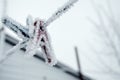 Frozen icy snow-covered clothespins outside in winter Royalty Free Stock Photo