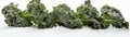 Frozen Kale On White Background Panoramic Banner Royalty Free Stock Photo
