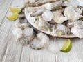 Frozen king prawns between ice cubes on the plate close up. Frozen big shrimps in ice and lime slices. Royalty Free Stock Photo