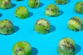 Frozen kiwi in ice cube balls for summer refreshing concept on bright blue background. Minimal abstract pattern idea