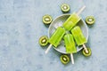 Frozen kiwi smoothie on a stick . Halves of kiwi. Popsicles green. The view from the top,place for text. Royalty Free Stock Photo