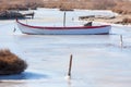 Frozen lagoon in northern Greece Royalty Free Stock Photo