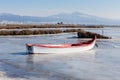 Frozen lagoon in northern Greece Royalty Free Stock Photo