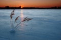 Frozen lake