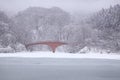 Frozen lake and bridge