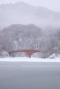 Frozen lake and bridge