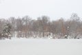 The Frozen Lake at Central Park during a Winter Snowstorm in New York City Royalty Free Stock Photo