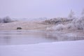 Frozen lake in cold ,misty winter day. Royalty Free Stock Photo