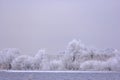 Frozen lake in cold ,misty winter day. Royalty Free Stock Photo