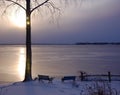 Frozen Lake at Dawn Royalty Free Stock Photo