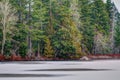 Frozen Lake in the Evergreen Forest Foliage with no snow on trees